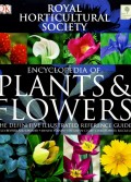 Encyclopedia of plants & flowers