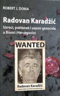 Radovan Karadžić - Uzroci, postanak i uspon genocida u Bosni i Hercegovini