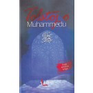 Tolstoj o Muhammedu s.a.v.s. Poslanica slavnog ruskog pisca o Pejgamberu Muhammedu : dugo skrivana knjiga